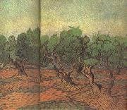 Vincent Van Gogh Olive Grove (nn04) Spain oil painting artist